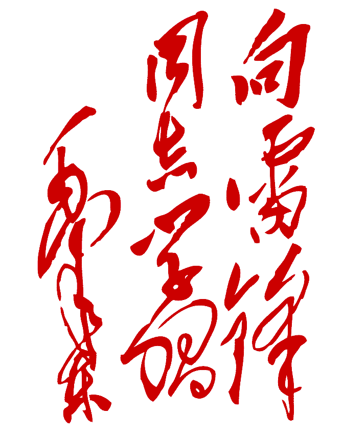 4D55
